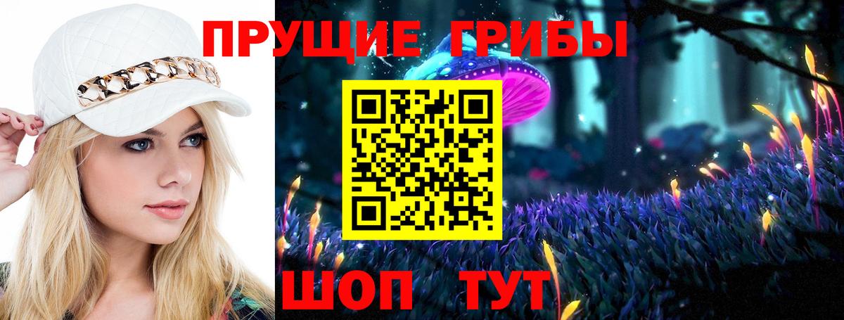 Торжок  Псилоцибиновые грибы GOLDEN TEACHER  Вход с VPN 